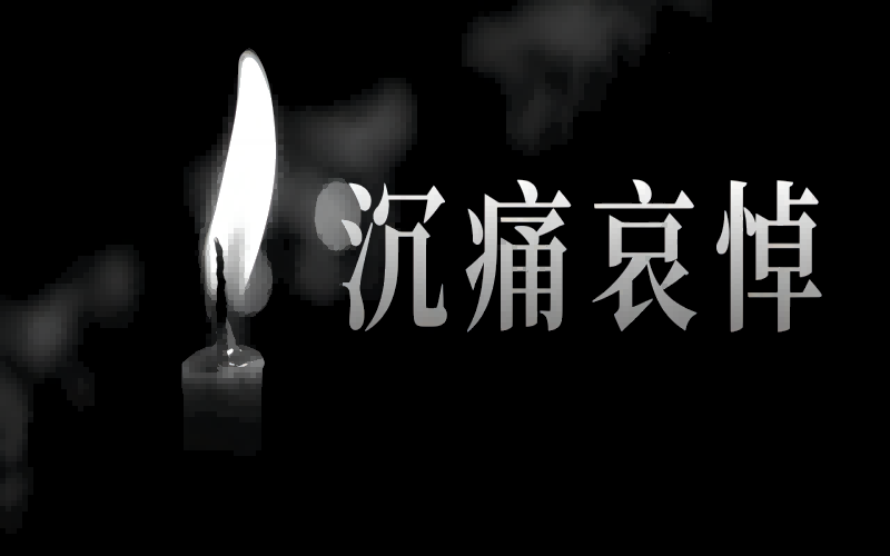 沉痛哀悼,深切缅怀!|我所组织观看江泽民同志追悼大会