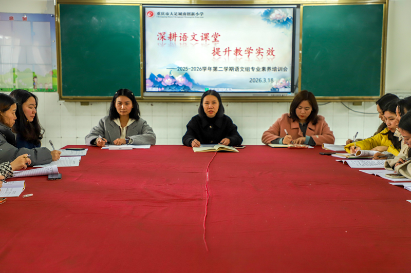 城南创新｜深耕语文课堂  提升教学实效