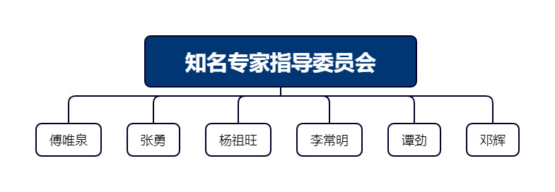 知名专家指导委员会
