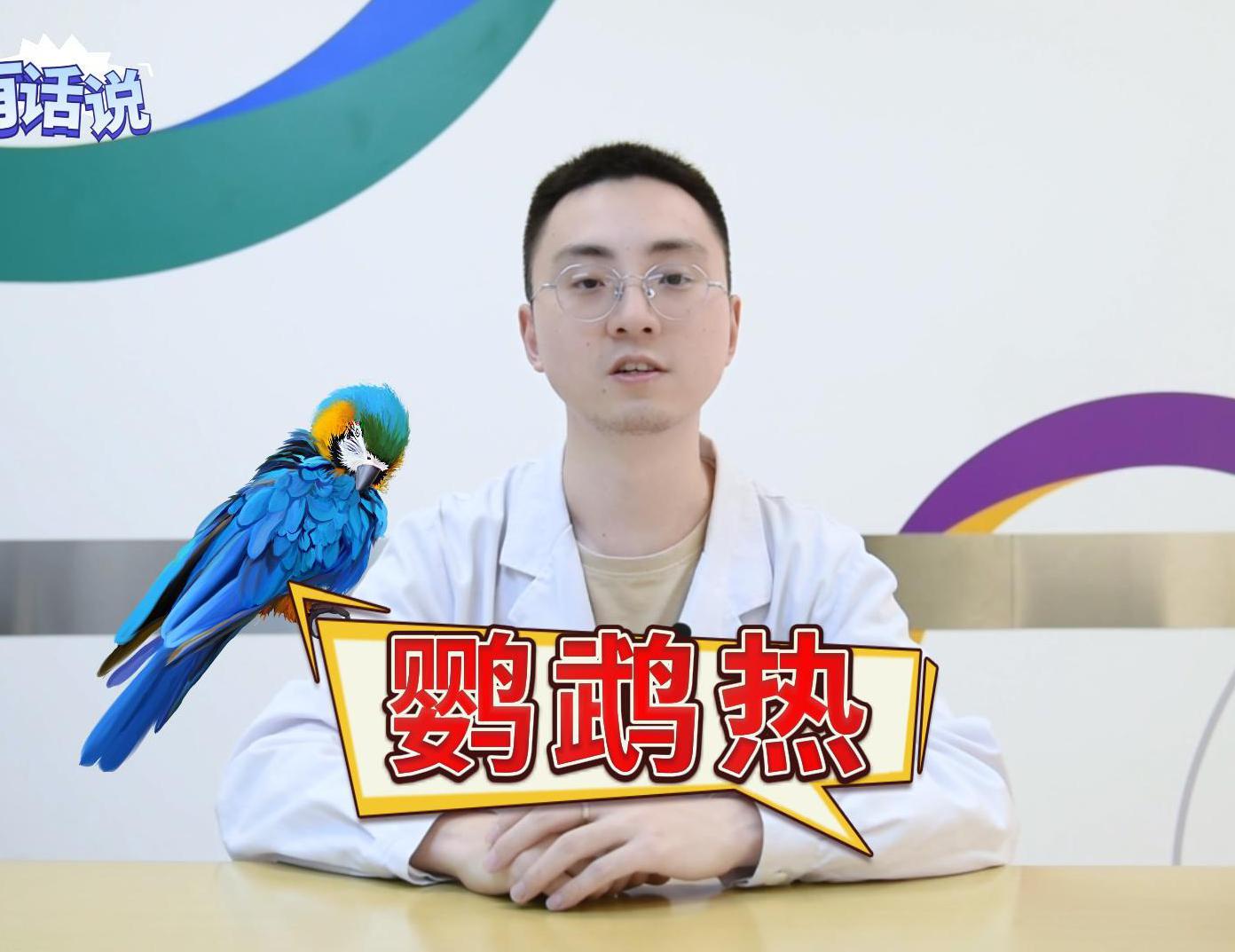 科普视频 | 鹦鹉热？野生鸟类可能是一些肺炎的元凶！