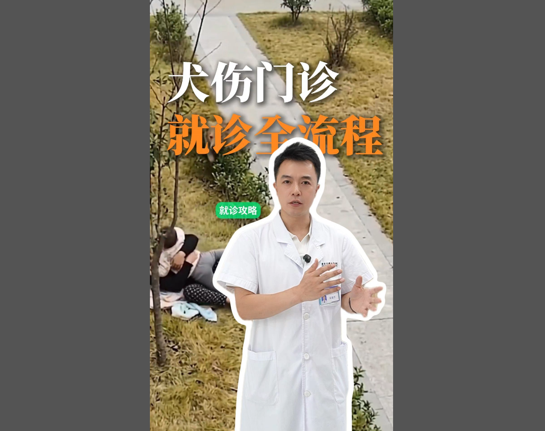 犬伤门诊就诊全流程 7x24小时全天候规范接诊
