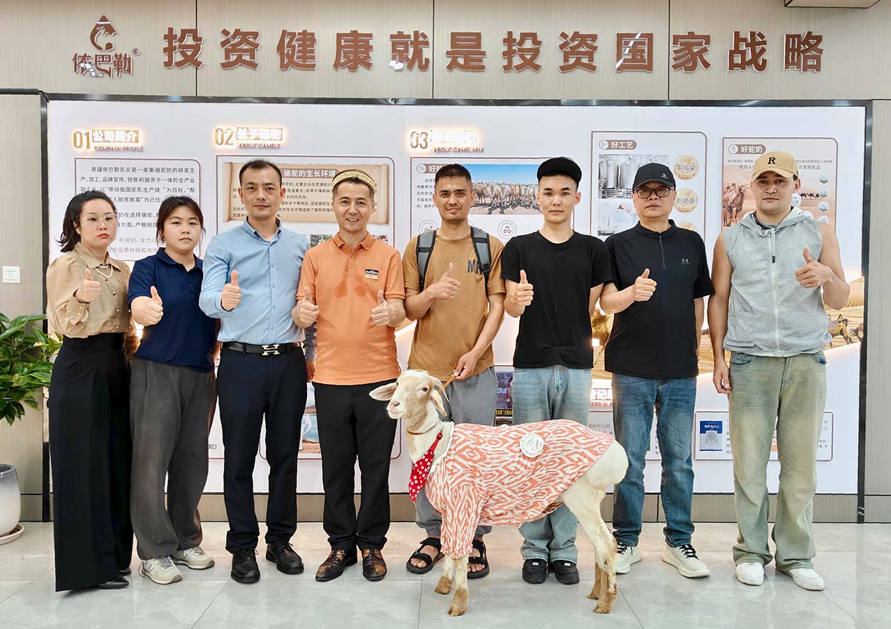 新疆顶流来袭 | 网红“小羊哥”携"羊肉串"空降依巴勒，萌宠喝驼奶萌翻全场