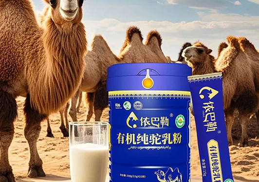别再只喝牛奶了！这种“沙漠营养瑰宝”才是免疫力的“新宠”，可惜很多人不知道