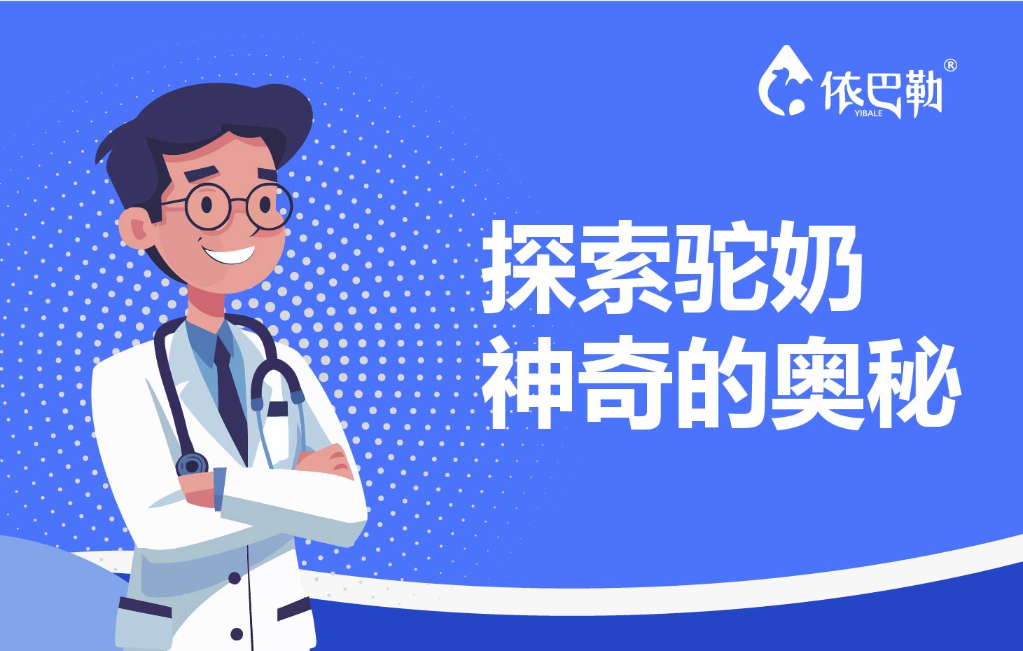 探索驼奶神奇的奥秘