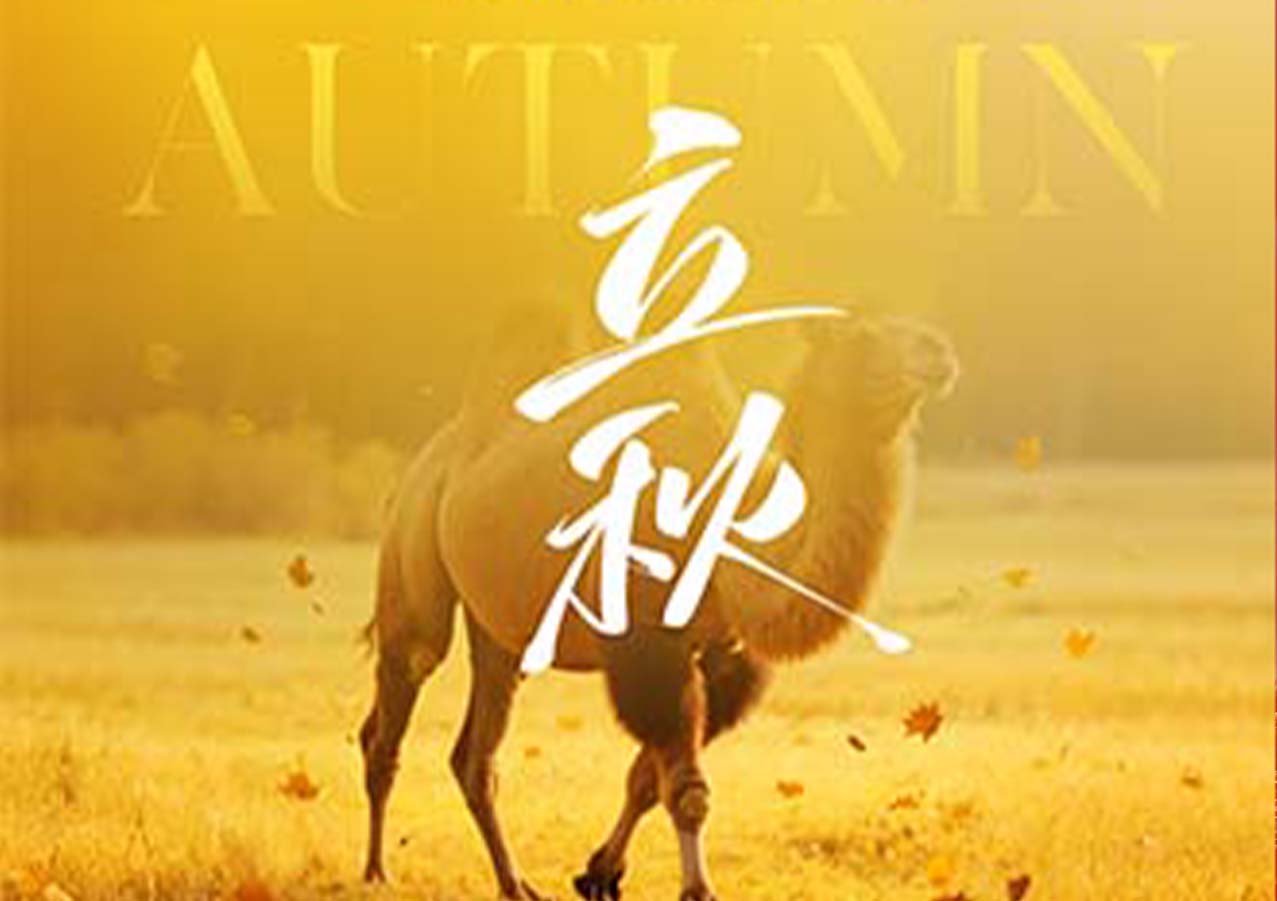 立秋润收时：一杯驼奶蕴藏的都市养生新解