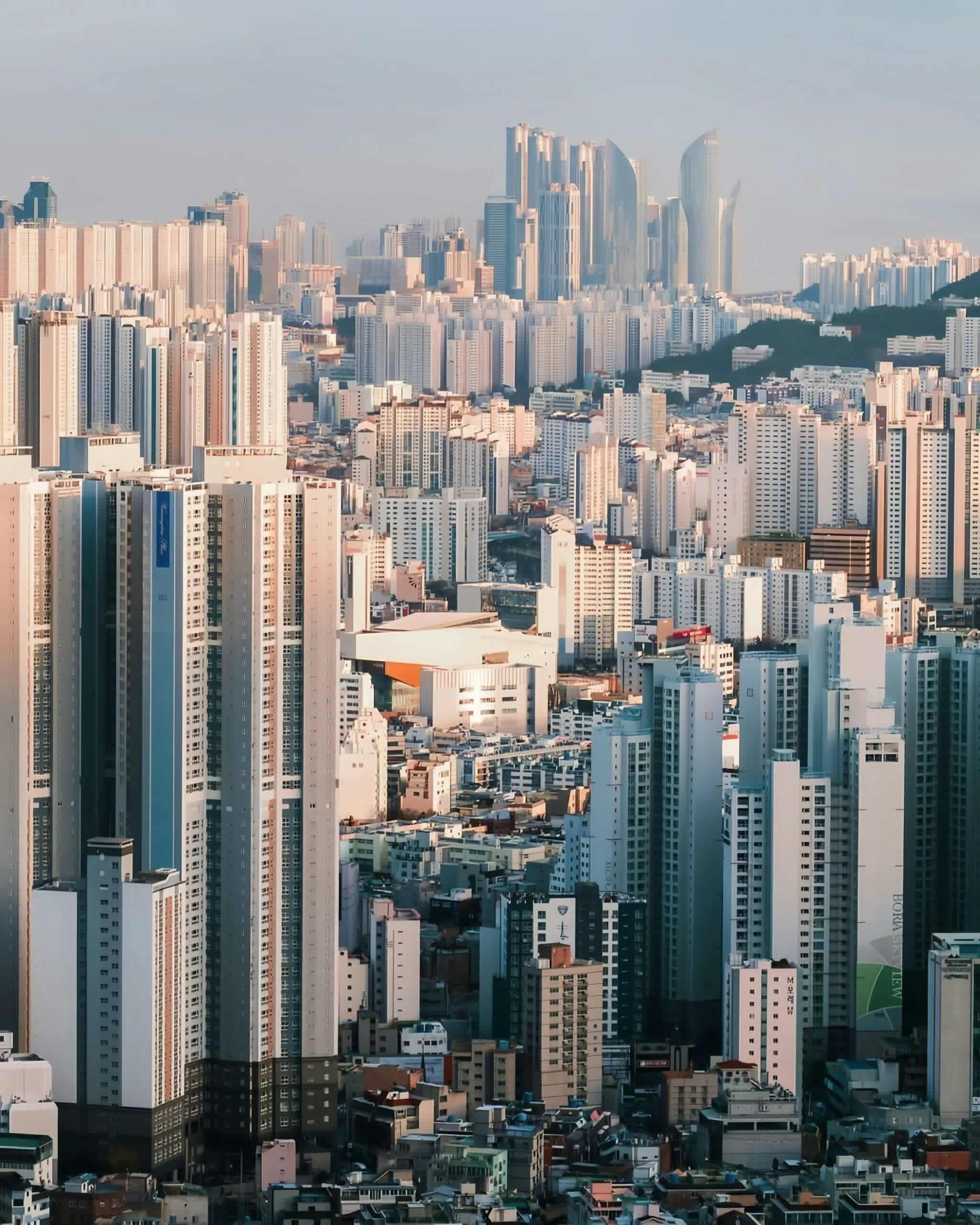 企业精神