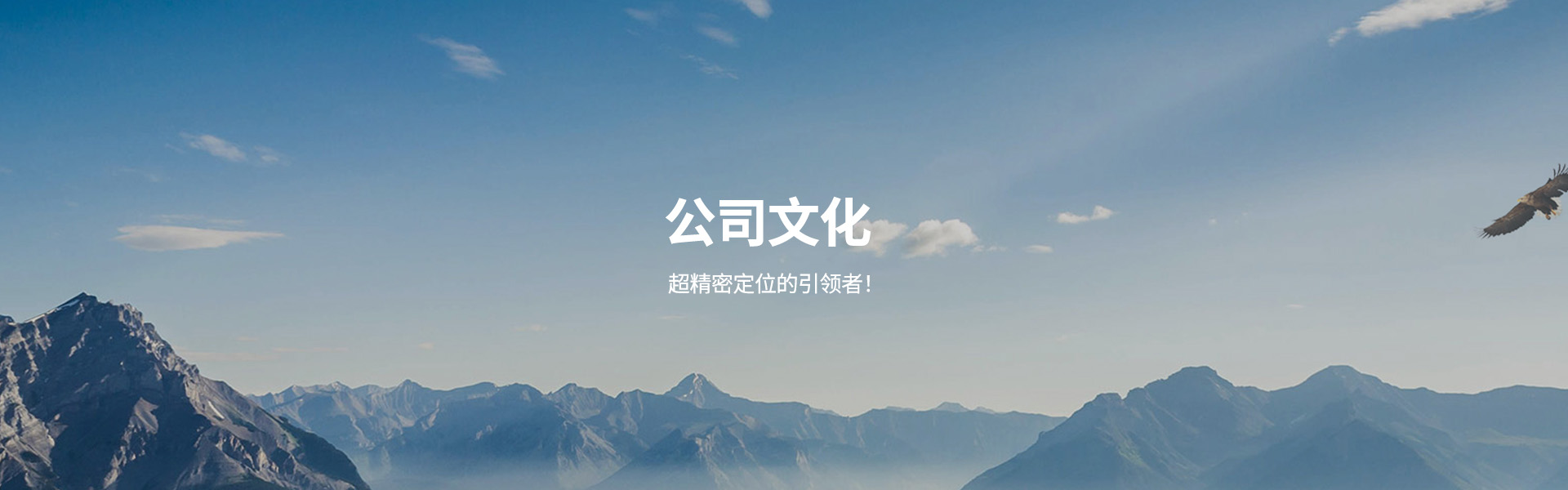 顶部banner图