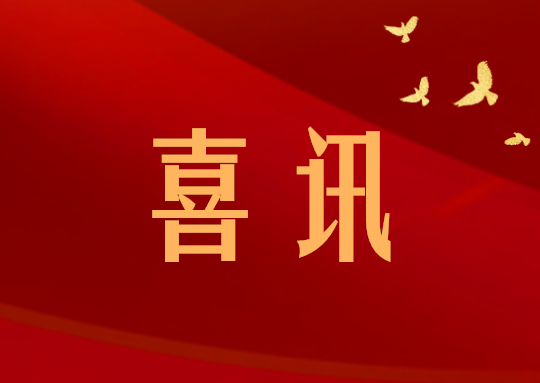喜讯丨润通集团上榜2024重庆民营企业百强榜单