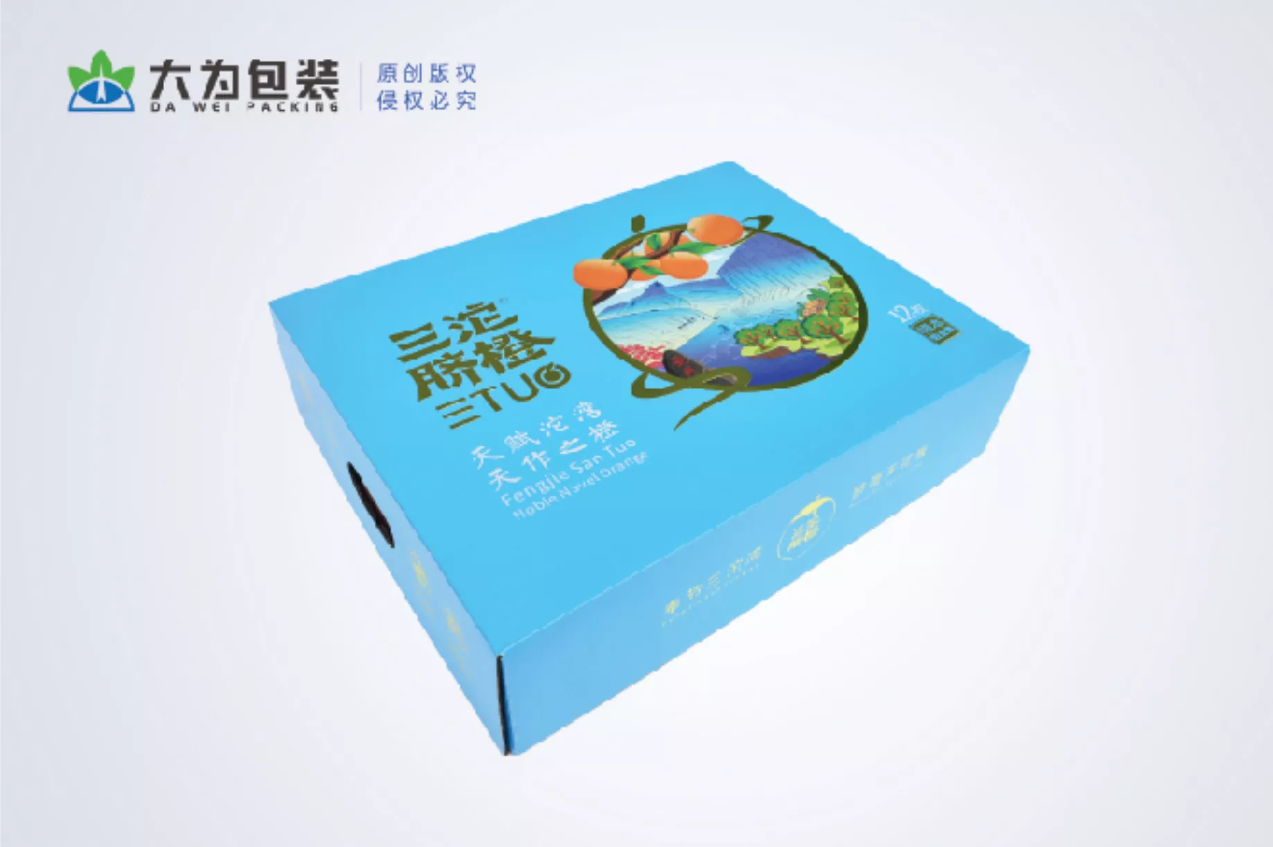 水果包装盒