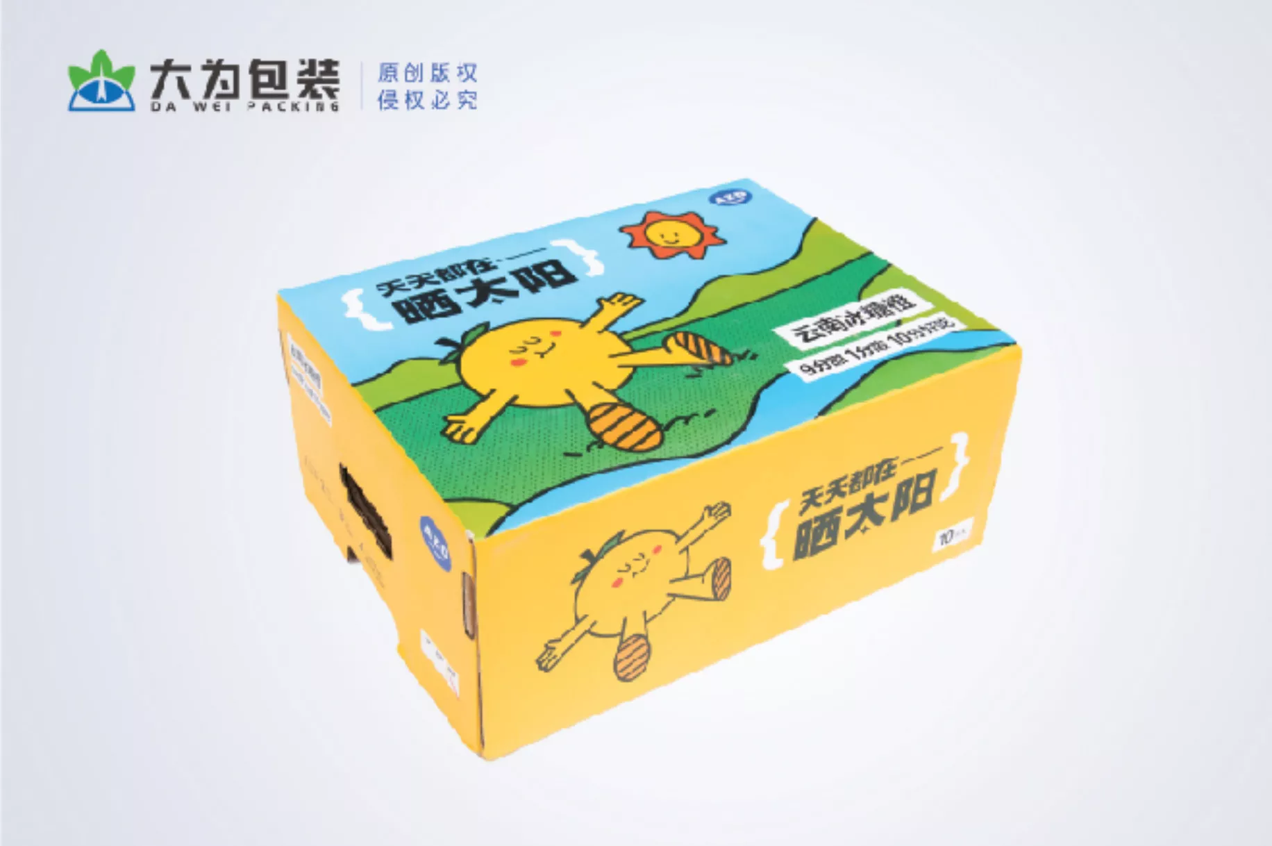 水果包装盒