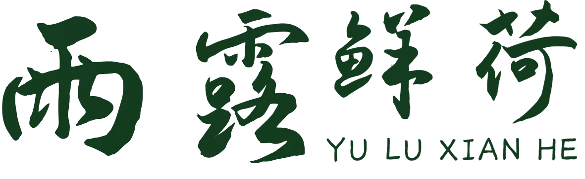 雨露鲜荷