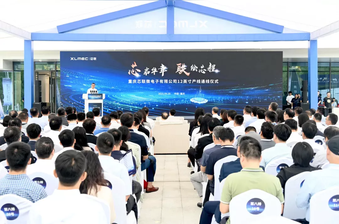 2025年概括图