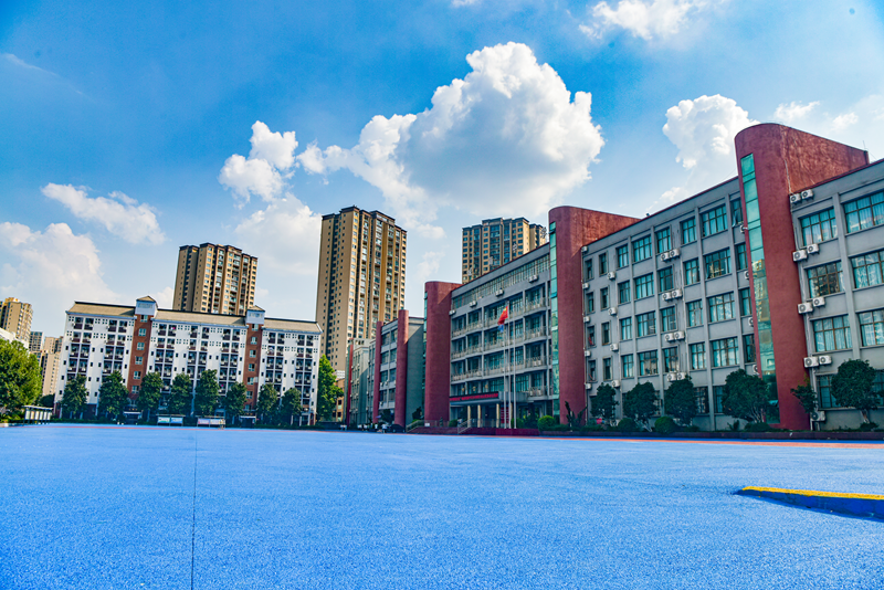 城南初级中学风景（五）