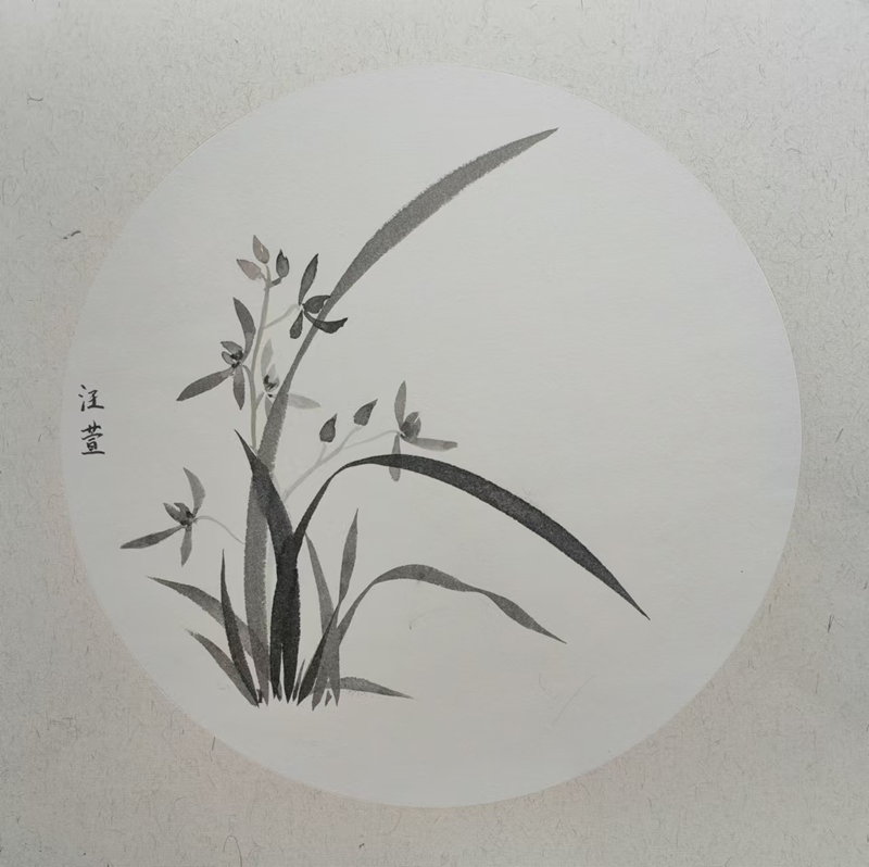 国画《兰》2023级8班汪萱 指导教师李银